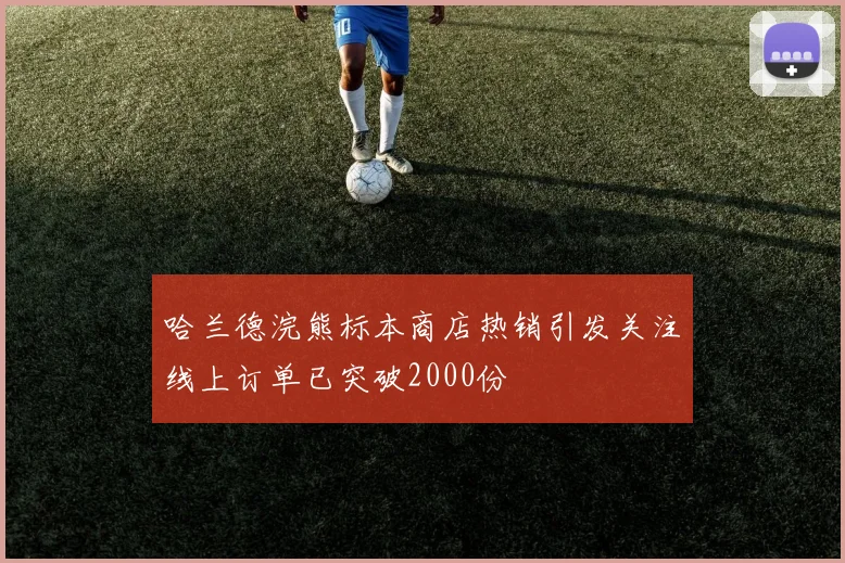 哈兰德浣熊标本商店热销引发关注线上订单已突破2000份