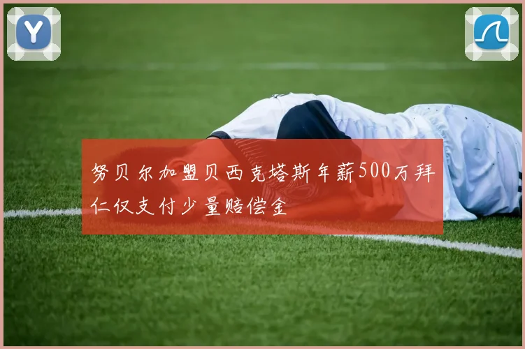 努贝尔加盟贝西克塔斯年薪500万拜仁仅支付少量赔偿金
